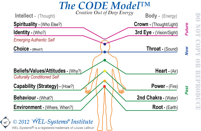 CODE Model